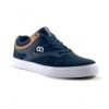 Zapatilla skate urbana hombre anthology