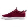 Zapatilla skate hombre natgeo burgundy