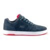 Zapatilla skate natgeo hombre gris