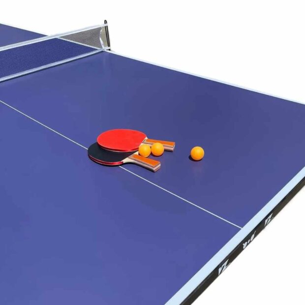 Mesa de ping pong plegable 12mm