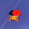 Mesa de ping pong plegable 12mm